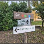 L’azienda agricola “La Raia” e il progetto #METODOCONTEMPORANEO