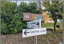 L’azienda agricola “La Raia” e il progetto #METODOCONTEMPORANEO